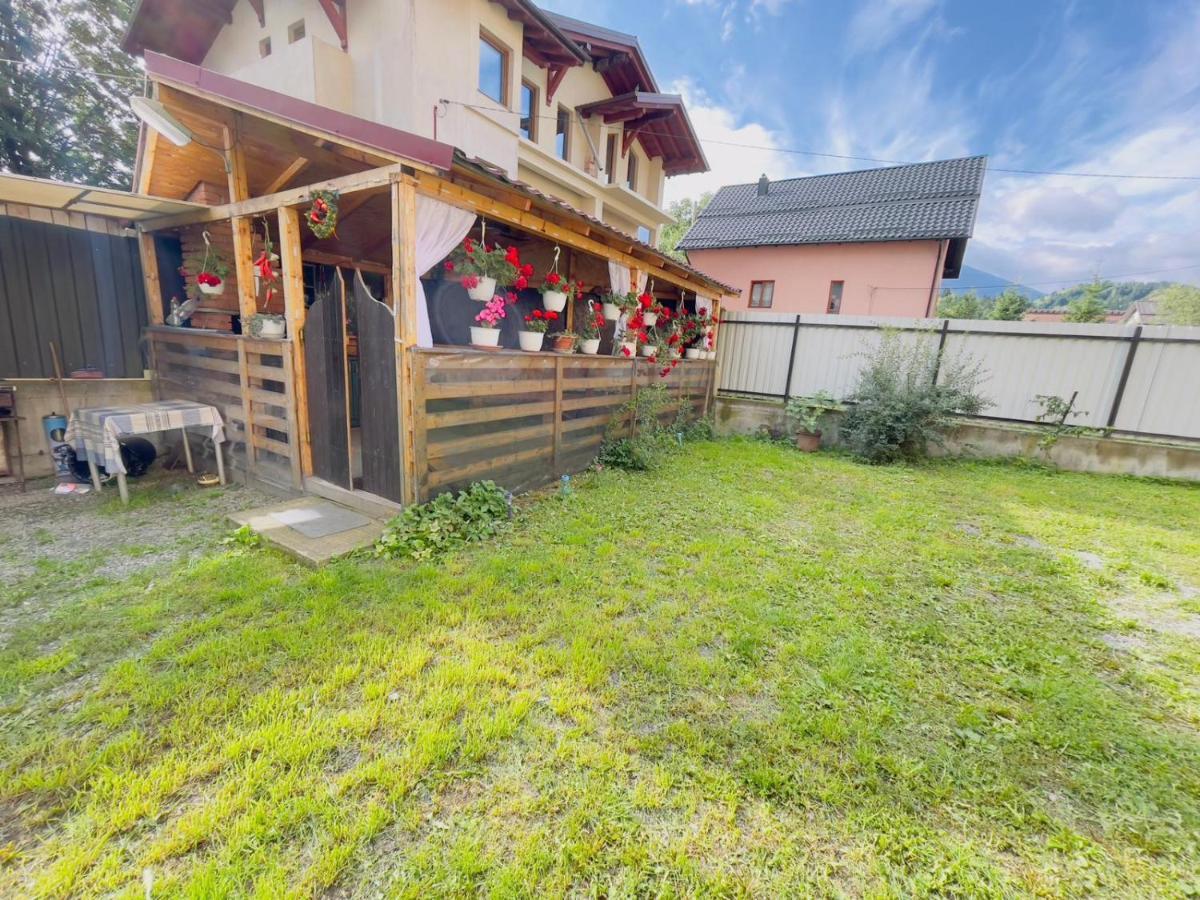 Villa Felicia Borşa